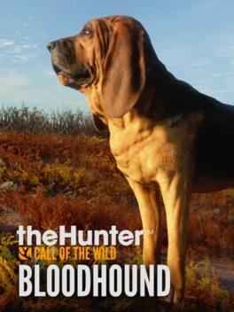 theHunter: Call of the Wild - Bloodhound